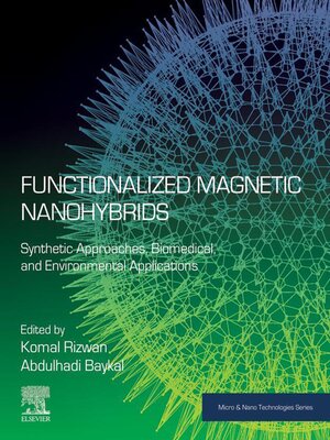 cover image of Functionalized Magnetic Nanohybrids